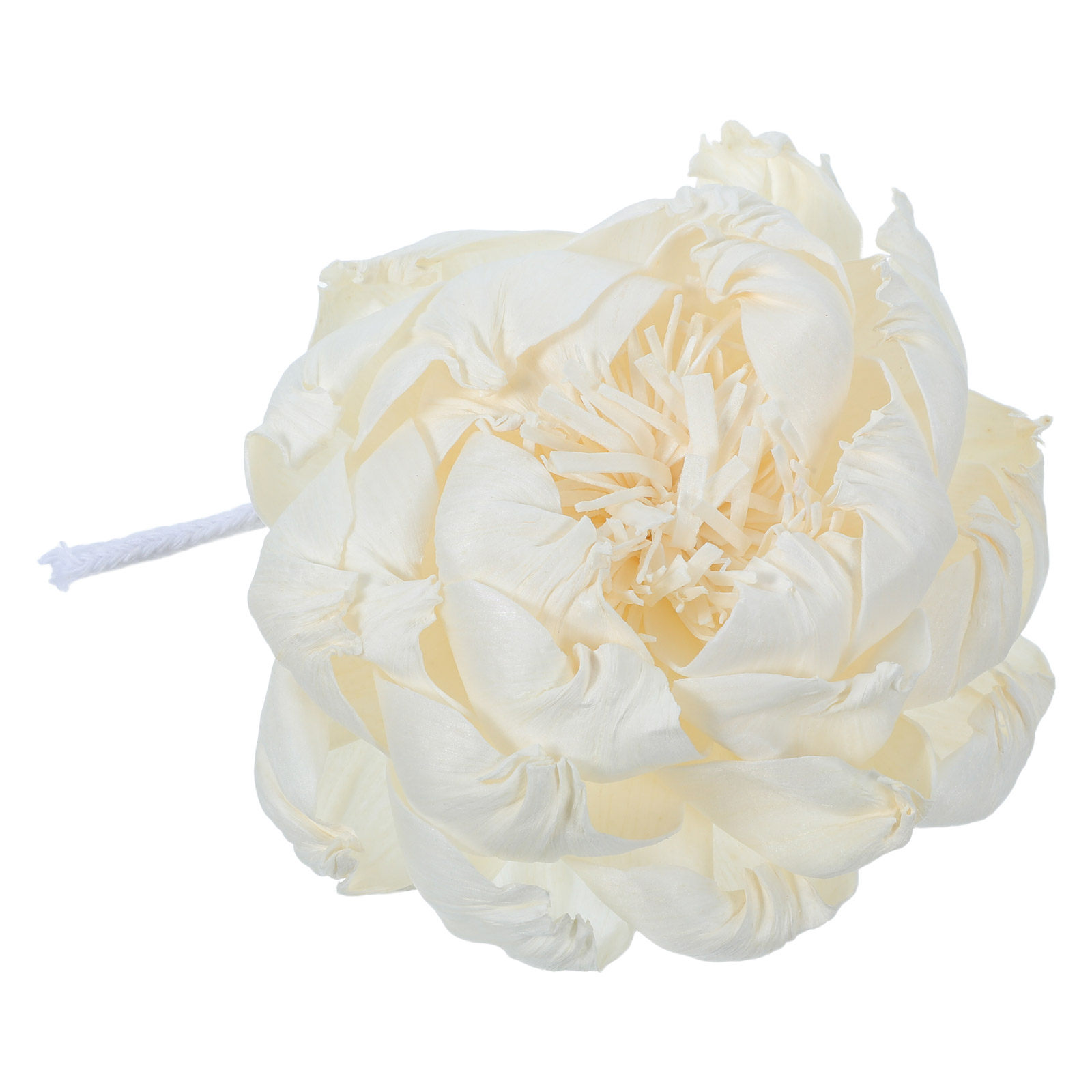 Peony Head Fragrance Diffuser  - Home Fragrance Flowers ulasan dan harga